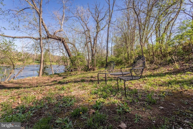view of yard featuring a water view
