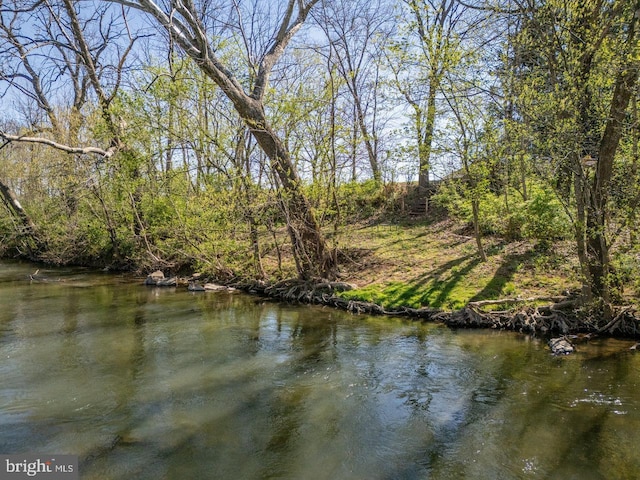 view of water feature