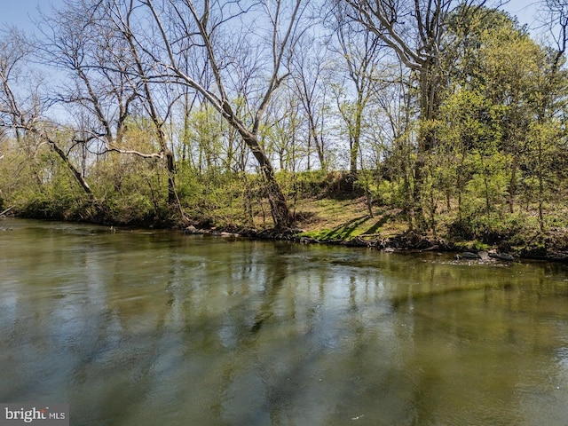 view of water feature