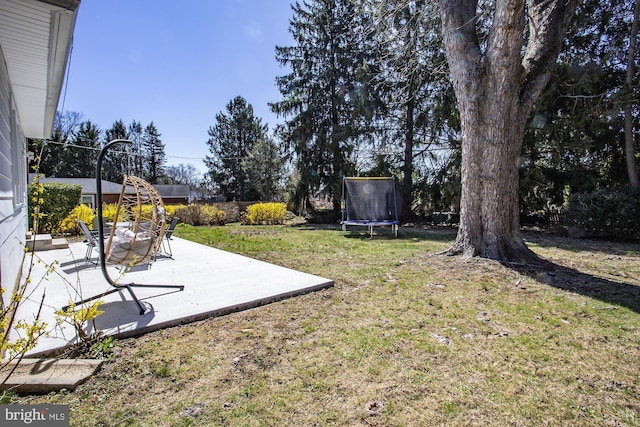 view of yard with a trampoline and a patio area