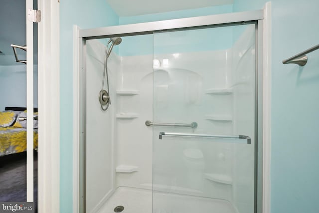 205 S Lehigh Rd, Glassboro, NJ 08028 - bathroom featuring a shower stall