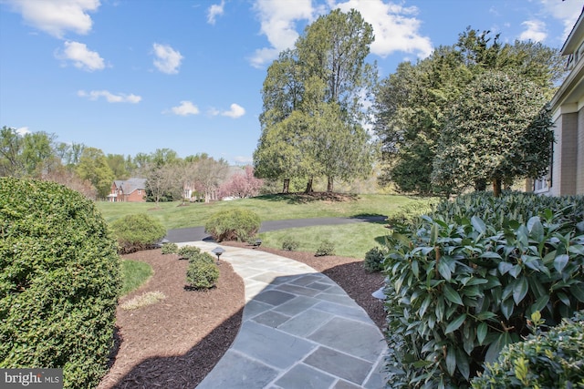 view of yard with a patio area
