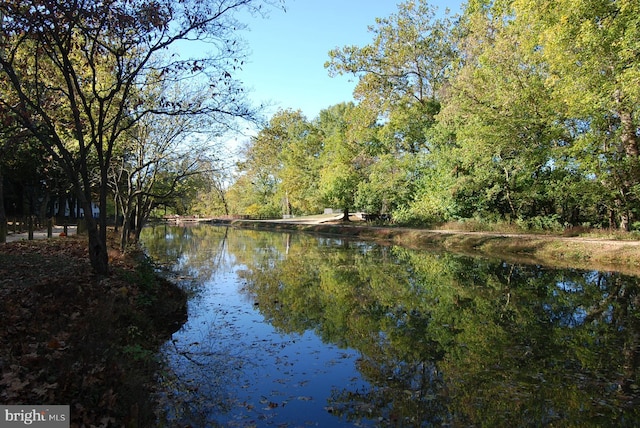 view of water feature with a wooded view