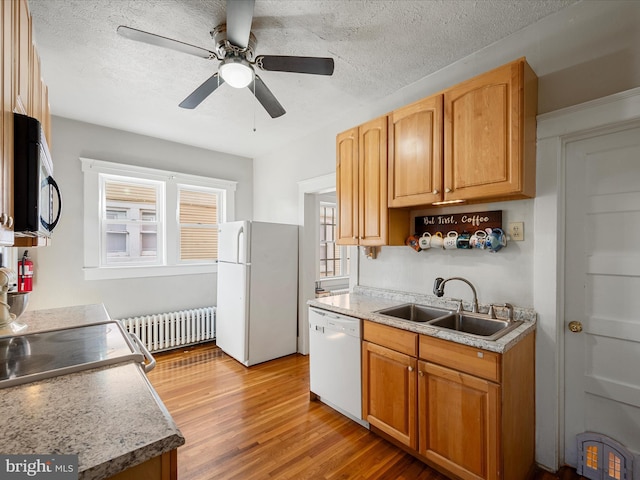 kitchen featuring a sink, light wood-style floors, white appliances, ceiling fan, and radiator