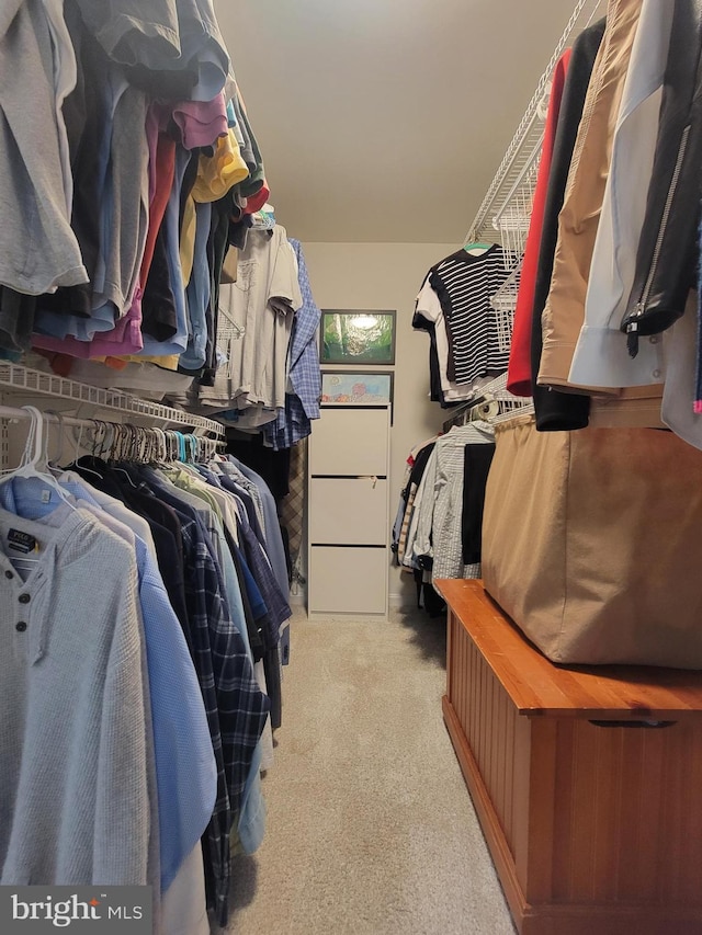walk in closet with carpet