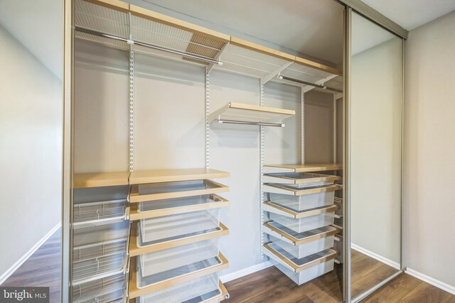 spacious closet featuring wood finished floors