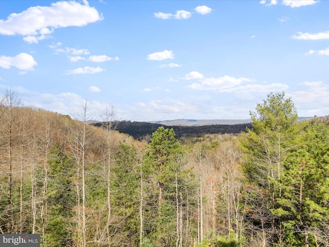 2201 Mill Gap Rd, Lost City, WV 26810 - property view of mountains with a wooded view