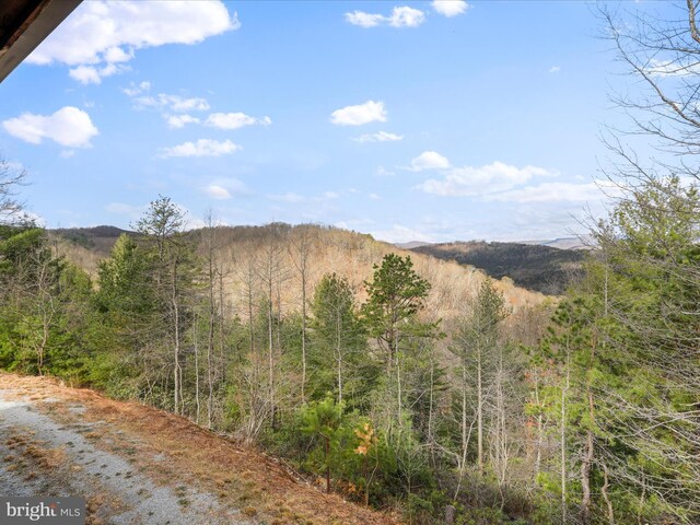 2201 Mill Gap Rd, Lost City, WV 26810 - property view of mountains with a view of trees