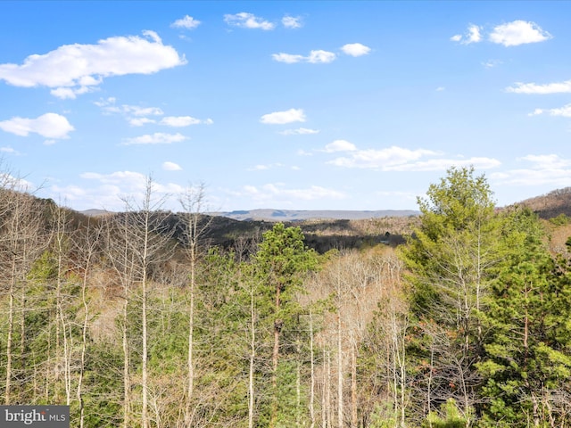 2201 Mill Gap Rd, Lost City, WV 26810 - property view of mountains