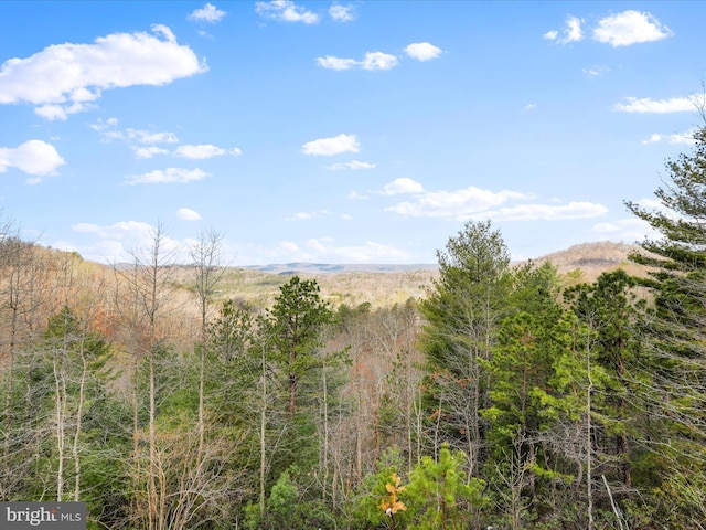 2201 Mill Gap Rd, Lost City, WV 26810 - property view of mountains with a wooded view