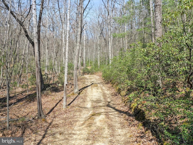 2201 Mill Gap Rd, Lost City, WV 26810 - view of street featuring a wooded view