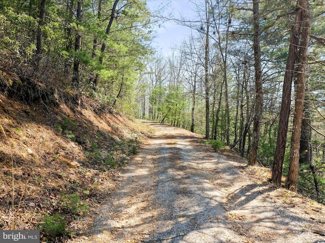 2201 Mill Gap Rd, Lost City, WV 26810 - view of street featuring a view of trees