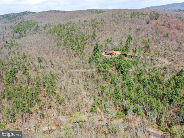 2201 Mill Gap Rd, Lost City, WV 26810 - aerial view with a mountain view and a view of trees