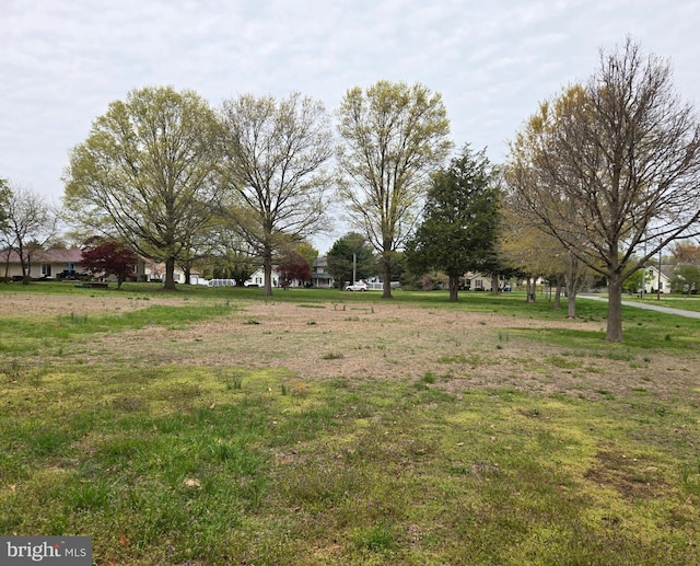 938 Church Hill Rd, Milford, DE 19963 - view of yard