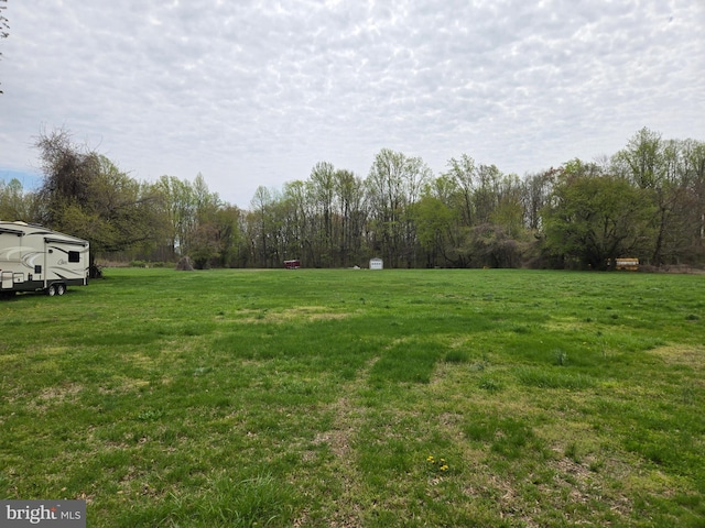 938 Church Hill Rd, Milford, DE 19963 - view of yard