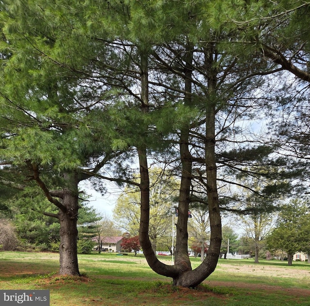938 Church Hill Rd, Milford, DE 19963 - view of property's community featuring a yard