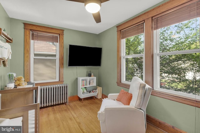 sitting room featuring a ceiling fan, radiator heating unit, light wood-style flooring, and a healthy amount of sunlight