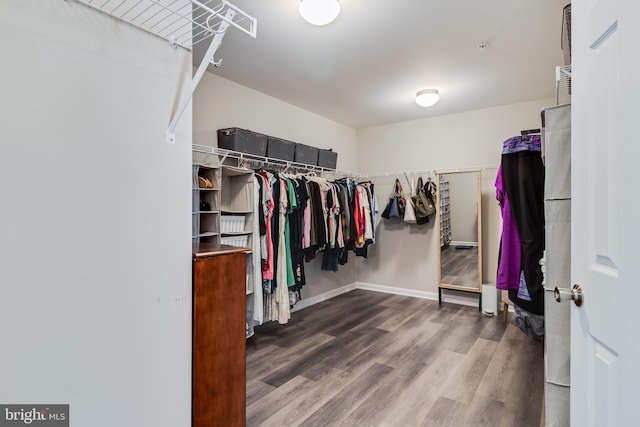 13301 Windjammer Ct, Hughesville, MD 20637 - spacious closet with wood finished floors