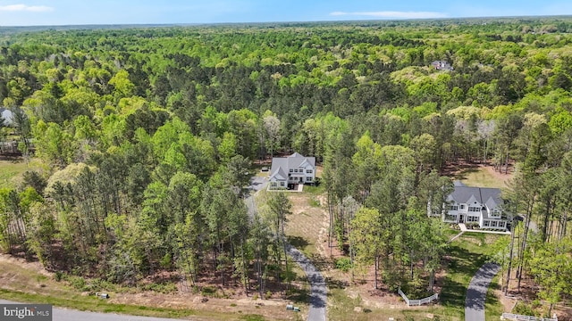 13301 Windjammer Ct, Hughesville, MD 20637 - birds eye view of property featuring a view of trees