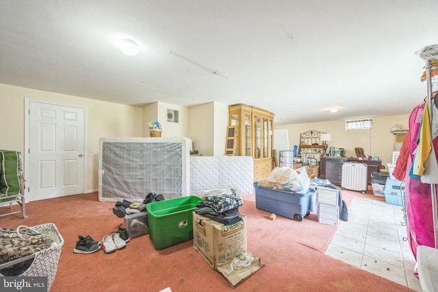below grade area with carpet floors