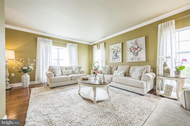 living room featuring plenty of natural light, crown molding, baseboards, and wood finished floors