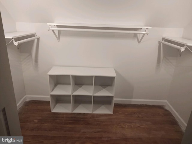 5010 54th Pl, Hyattsville, MD 20781 - walk in closet with dark wood-style flooring