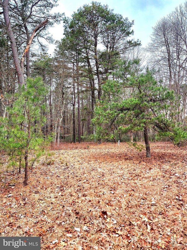 64 Park Ave, Jackson, NJ 08527 - view of landscape