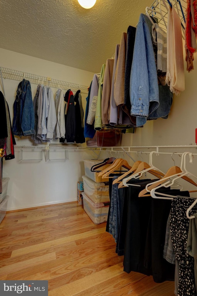 walk in closet featuring wood finished floors