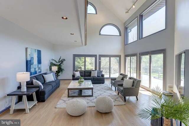 1 Fox Field Ct, Reisterstown, MD 21136 - living area featuring light wood-type flooring, a healthy amount of sunlight, and high vaulted ceiling