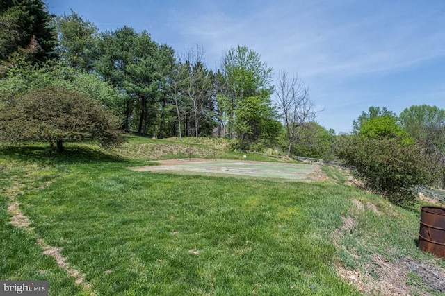 1 Fox Field Ct, Reisterstown, MD 21136 - view of yard