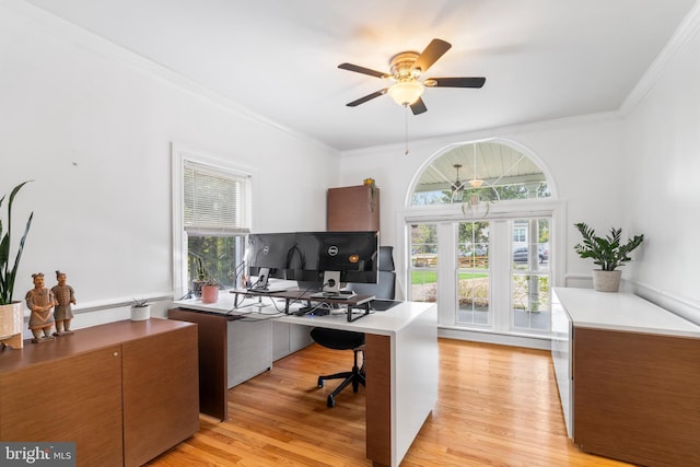 office space with light wood-style floors, a healthy amount of sunlight, and ornamental molding