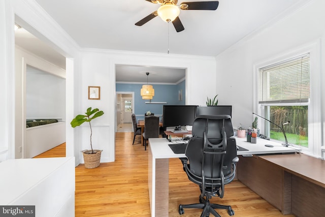 office space featuring light wood-style floors, a healthy amount of sunlight, crown molding, and a ceiling fan