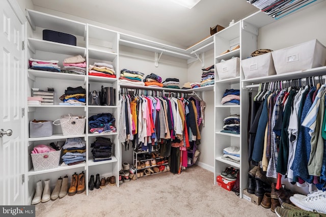 walk in closet featuring carpet