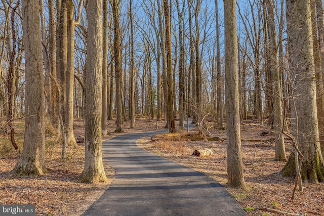 view of street featuring a forest view