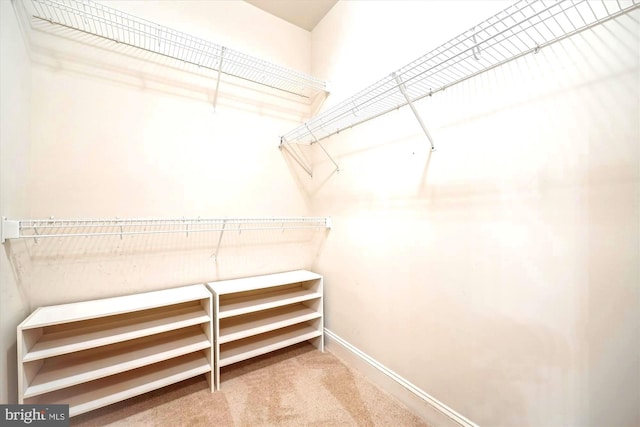 701 Fallsgrove Dr Unit 314, Rockville, MD 20850 - walk in closet with carpet flooring