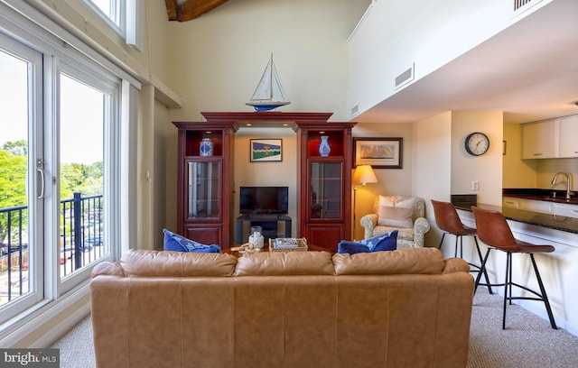312 Severn Ave Unit W 401, Annapolis, MD 21403 - living room featuring carpet flooring, a high ceiling, and plenty of natural light