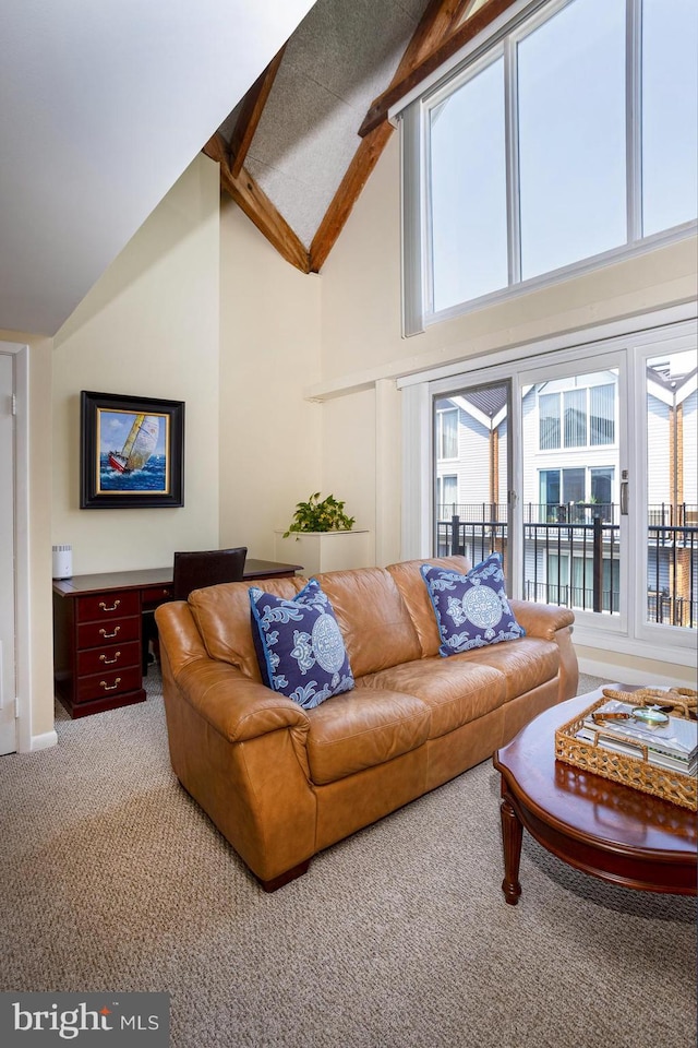 312 Severn Ave Unit W 401, Annapolis, MD 21403 - living room featuring carpet floors, high vaulted ceiling, and beam ceiling