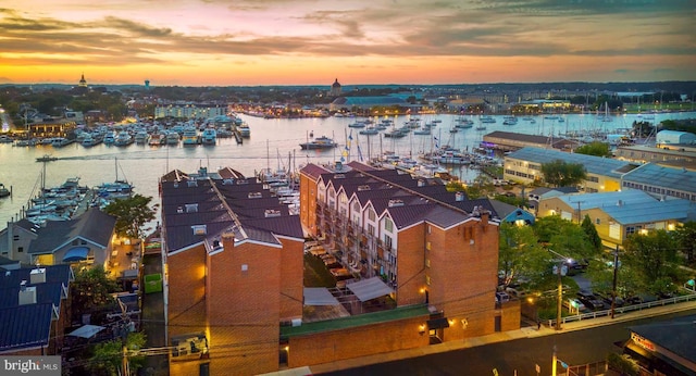 312 Severn Ave Unit W 401, Annapolis, MD 21403 - aerial view at dusk of view of marina and a water view