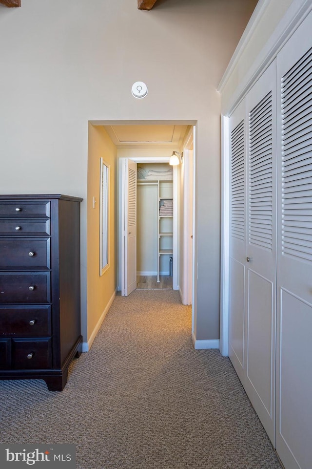 312 Severn Ave Unit W 401, Annapolis, MD 21403 - hall featuring carpet floors and attic access