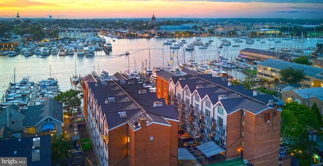 312 Severn Ave Unit W 401, Annapolis, MD 21403 - aerial view at dusk of view of marina and a water view