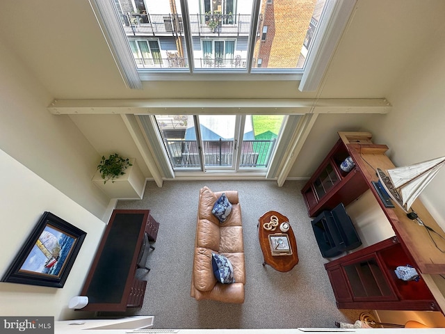 312 Severn Ave Unit W 401, Annapolis, MD 21403 - view of carpeted living room