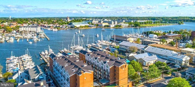 312 Severn Ave Unit W 401, Annapolis, MD 21403 - aerial view of a large body of water and a marina