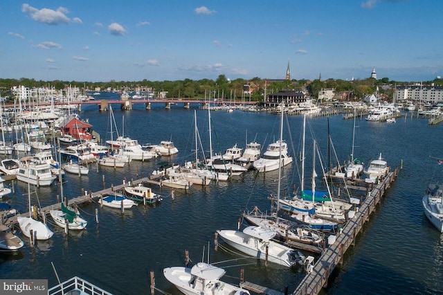 312 Severn Ave Unit W 401, Annapolis, MD 21403 - water view with a boat dock