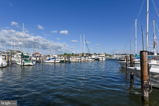 312 Severn Ave Unit W 401, Annapolis, MD 21403 - dock with a water view and view of marina