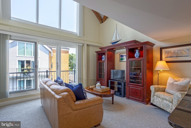 312 Severn Ave Unit W 401, Annapolis, MD 21403 - living area featuring carpet flooring and high vaulted ceiling