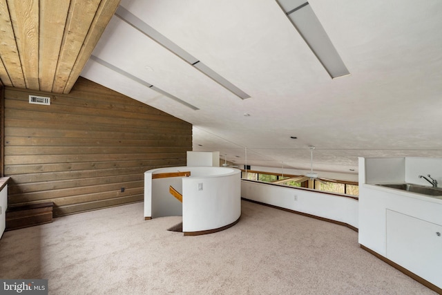 390 S Bryn Mawr Ave, Bryn Mawr, PA 19010 - bonus room featuring a sink, wood walls, carpet flooring, and vaulted ceiling