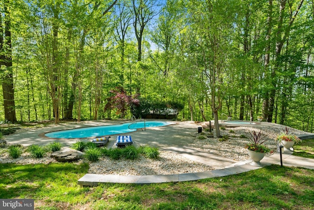 208 Biggs Purchase Ln, Lothian, MD 20711 - view of outdoor pool