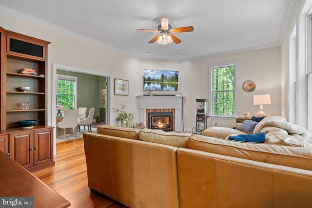 208 Biggs Purchase Ln, Lothian, MD 20711 - living room with crown molding, a ceiling fan, a wealth of natural light, and light wood-style flooring