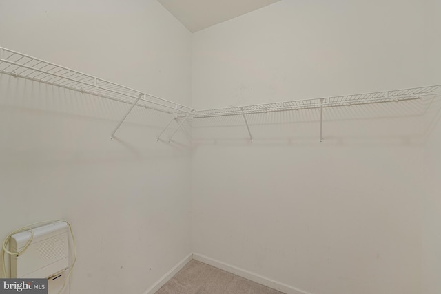 spacious closet with light carpet