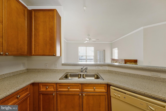 kitchen featuring a sink, dishwasher, ceiling fan, light countertops, and ornamental molding
